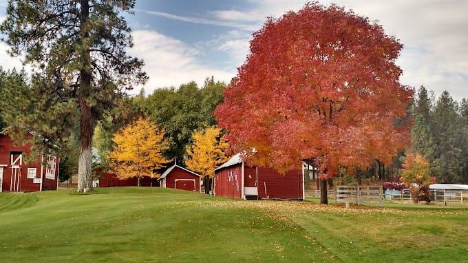 Eagle Ridge Short Course