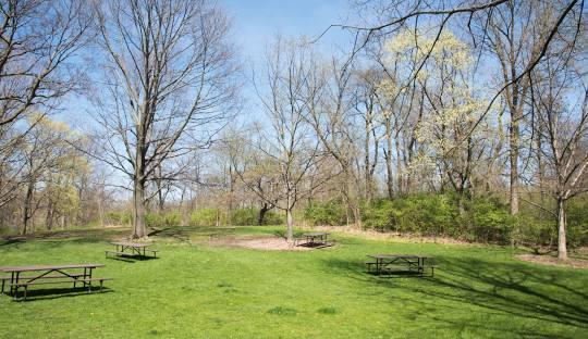 McDowell Grove Forest Preserve