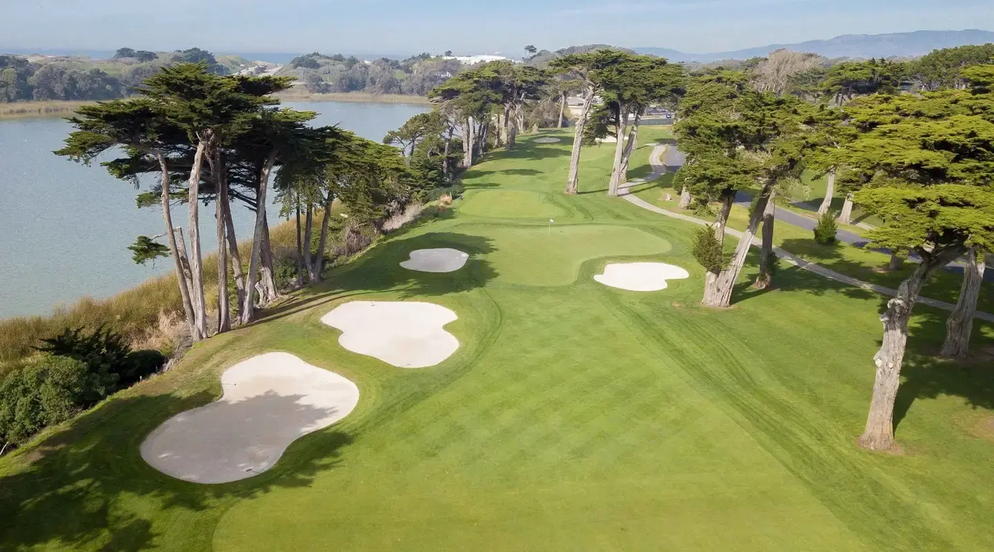 TPC Harding Park